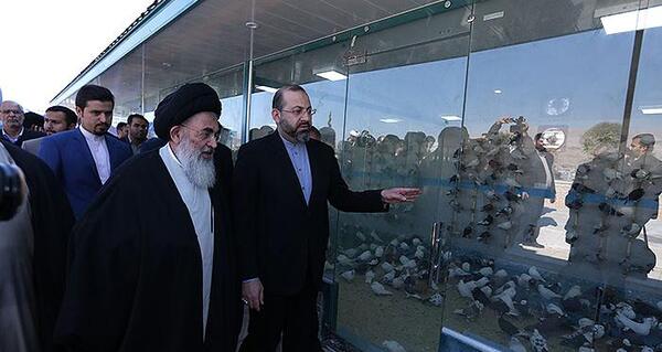 عکس کبوترخانه شاهچراغ