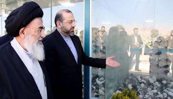 عکس کبوترخانه شاهچراغ