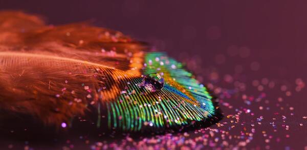 عکس فول اچ دی رهبر انقلاب