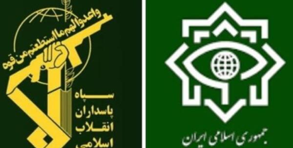 عکس نیلوفر حامدی و الهه محمدی