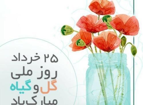 عکس روز گل