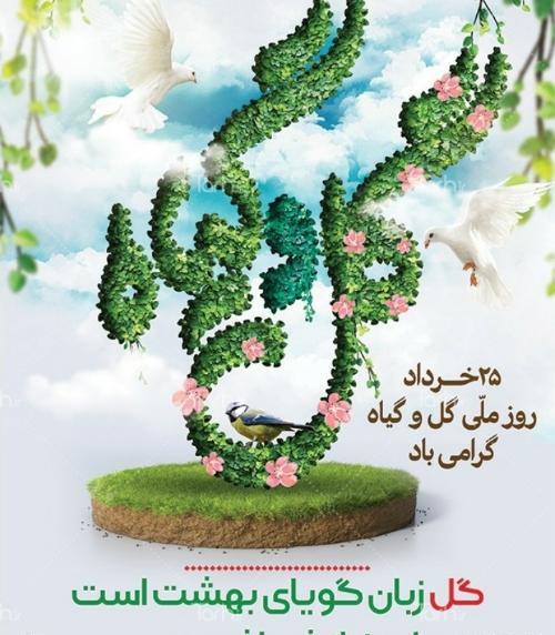 عکس روز گل