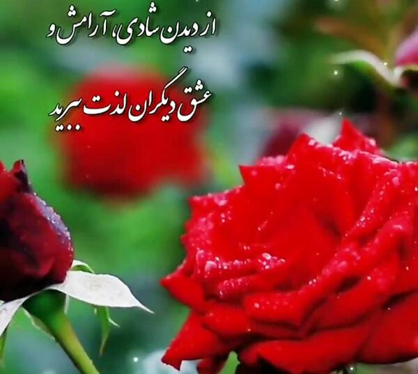 عکس وضعیت واتساپ گل
