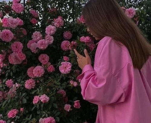 عکس وضعیت واتساپ گل