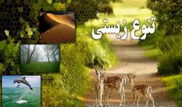 عکس روز جهانی تنوع زیستی