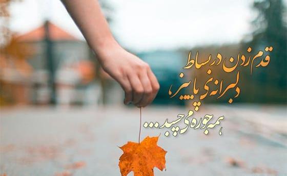 عکس استوری قدم زدن پاییز