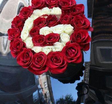 عکس اسم ژیلا انگلیسی