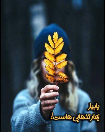 عکس استوری پاییز در راه است