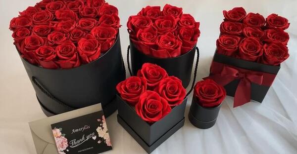 عکس روز قرمز