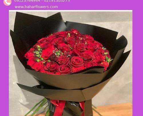 عکس روز قرمز
