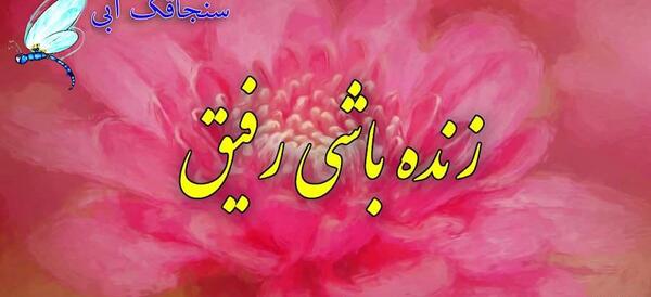 عکس روز جهانی قدردانی از دوست