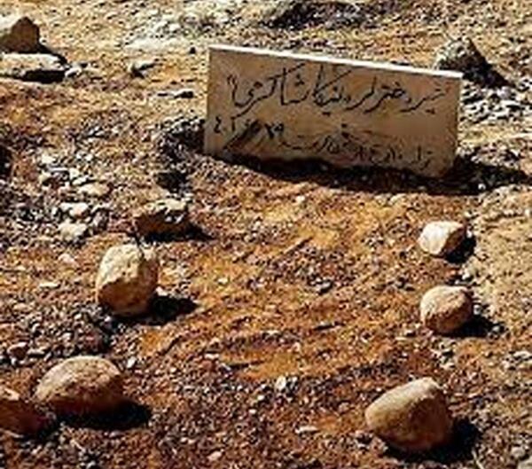 عکس نیکا شاکرمی علت مرگش