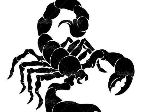 عکس نقاشی سیاه قلم عقرب
