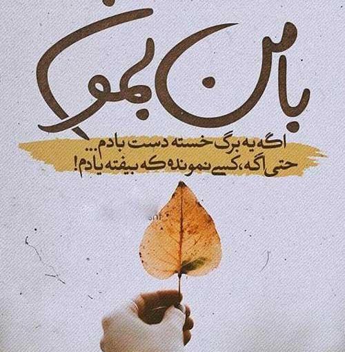 عکس استوری درباره ی پاییز