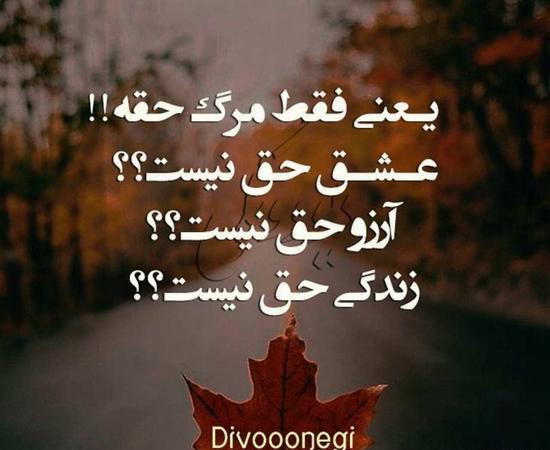عکس پروفایل لاکچری تیکه دار