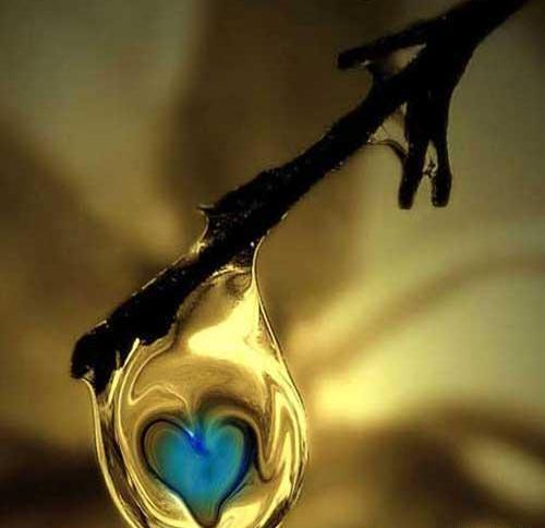 عکس روز دنیا