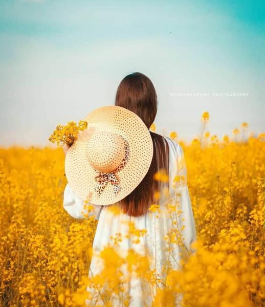 عکس زیبای پاییز تهران