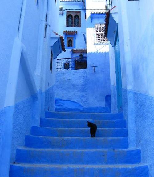 عکس آبی رنگ