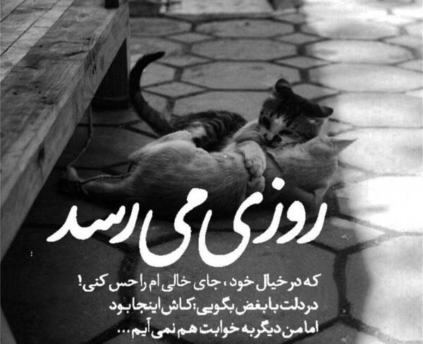عکس روزی