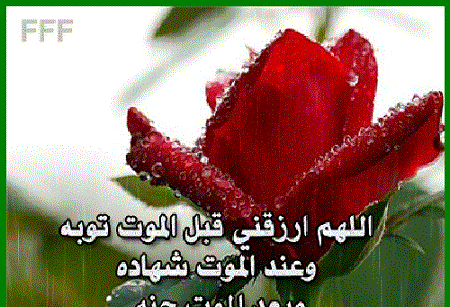 عکس روزی
