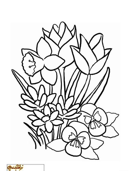 عکس نقاشی گل ژاله کودکانه