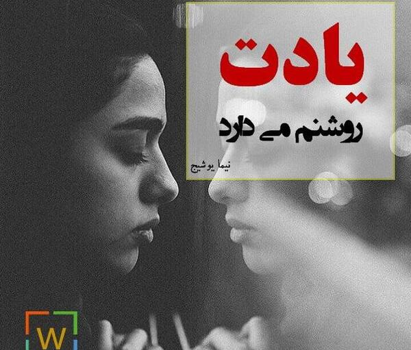 عکس نیما شفیق دوست