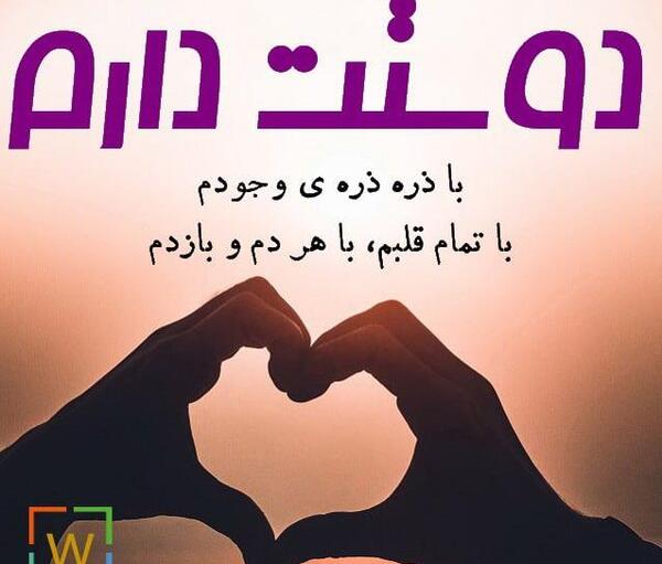 عکس نیما شفیق دوست