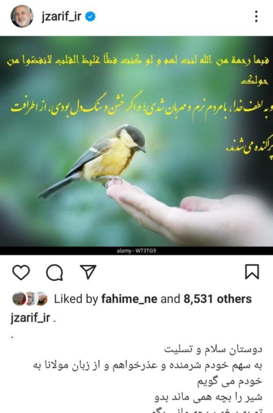 عکس فرهاد ظریف وهمسرش مهسا امینی