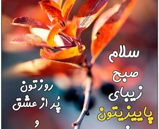عکس زیبای پاییزی صبح بخیر