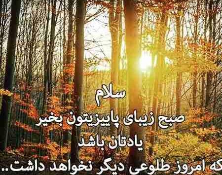 عکس زیبای پاییزی صبح بخیر