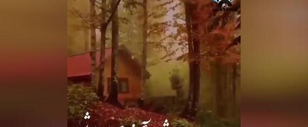عکس استوری پاییز حجت اشرف زاده