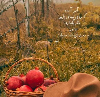 عکس پاییزی آذر ماه