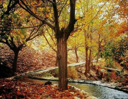 عکس پاییز نیشابور
