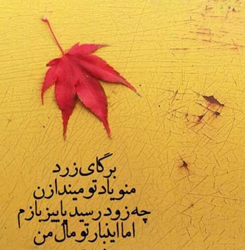 عکس استوری واتساپ پاییز