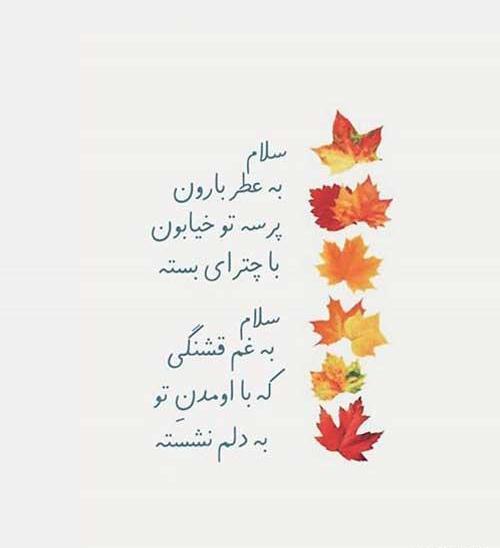عکس استوری واتساپ پاییز