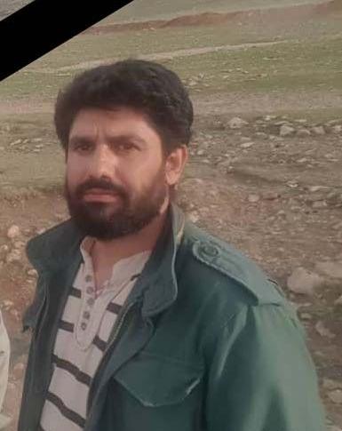 عکس محمدرضا سروری