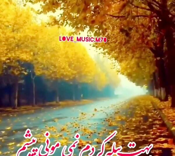 عکس استوری عصر پاییزی