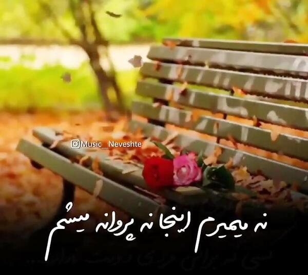عکس استوری عصر پاییزی
