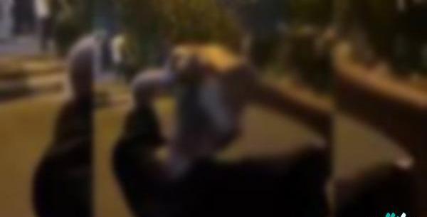 عکس صورت حدیث نجفی