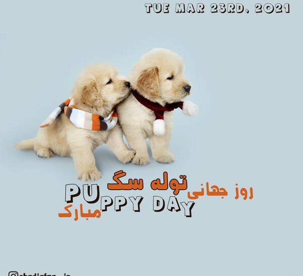عکس روز جهانی سگ