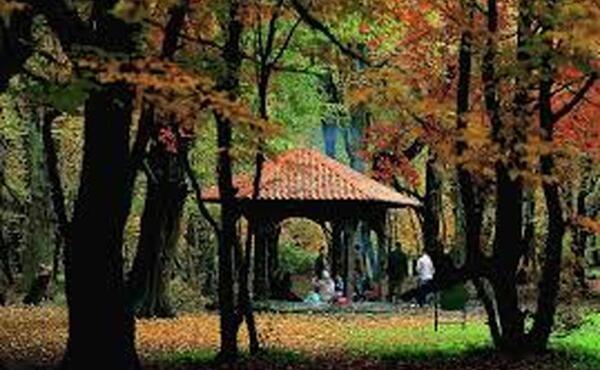 عکس پاییزی گنبد کاووس