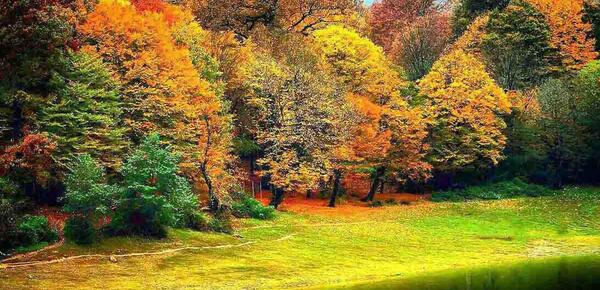 عکس پاییزی گنبد کاووس