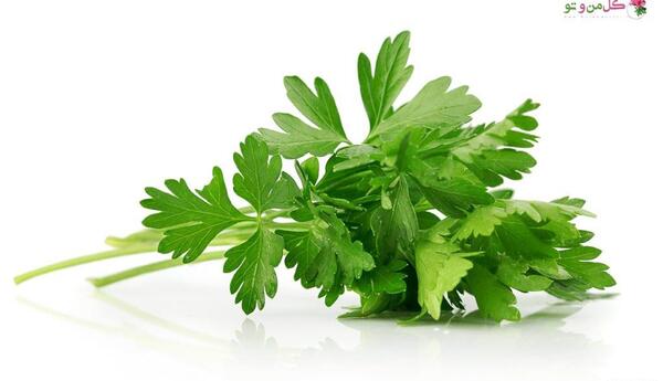 عکس سبزی جعفری