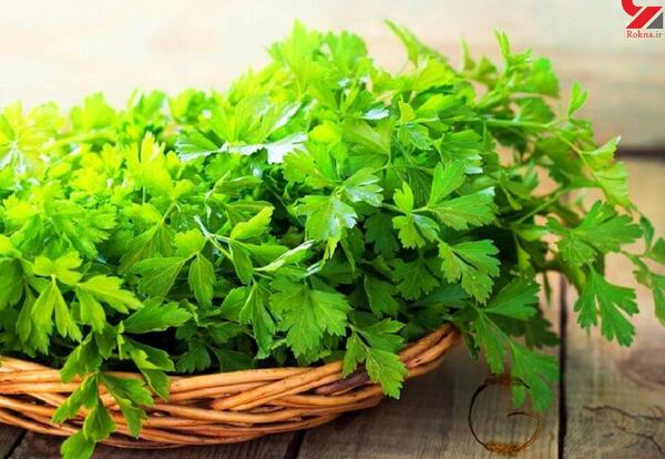 عکس سبزی جعفری