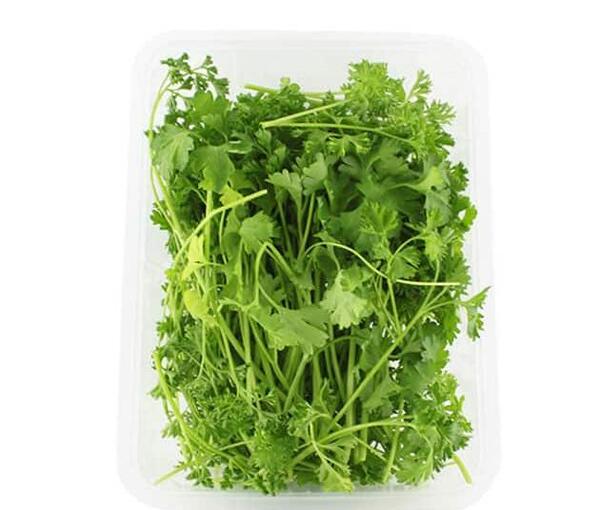 عکس سبزی جعفری
