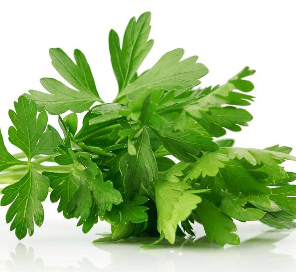 عکس سبزی جعفری