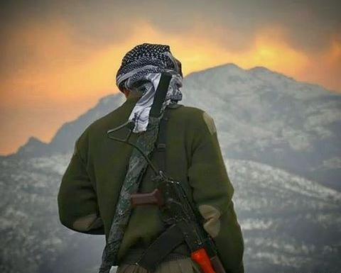 آلبوم عکس مهسا امینی