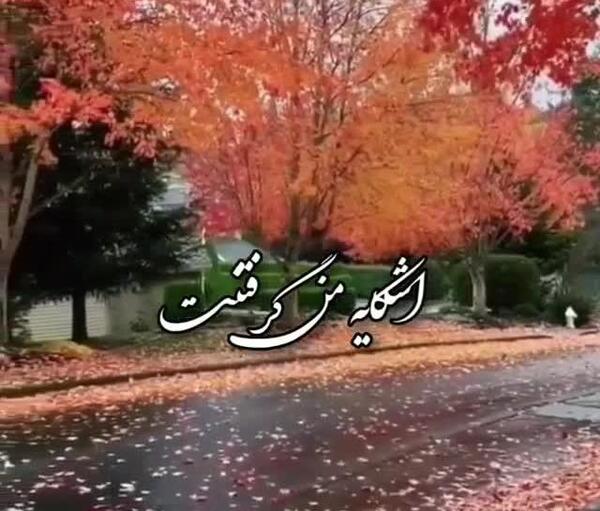 عکس استوری هوای پاییز مهدی احمدوند