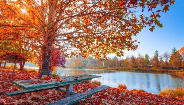 عکس زیباترین پاییز ها