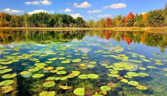 عکس های زیبا و دیدنی